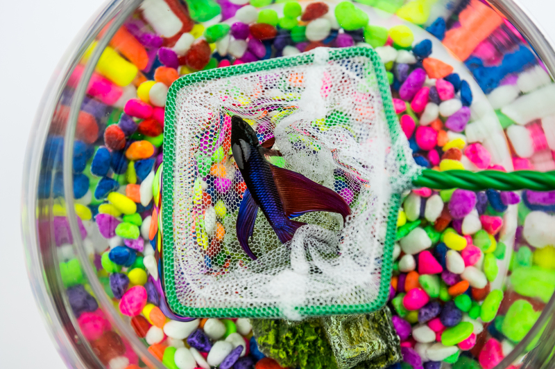 Essential Decluttering Tips for a Smooth Home Transition